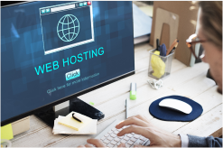 Website Hosting 